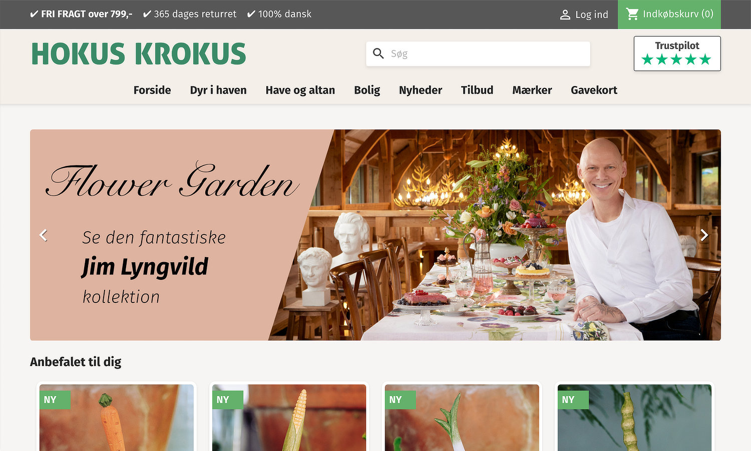 Screenshot of Hokus Krokus